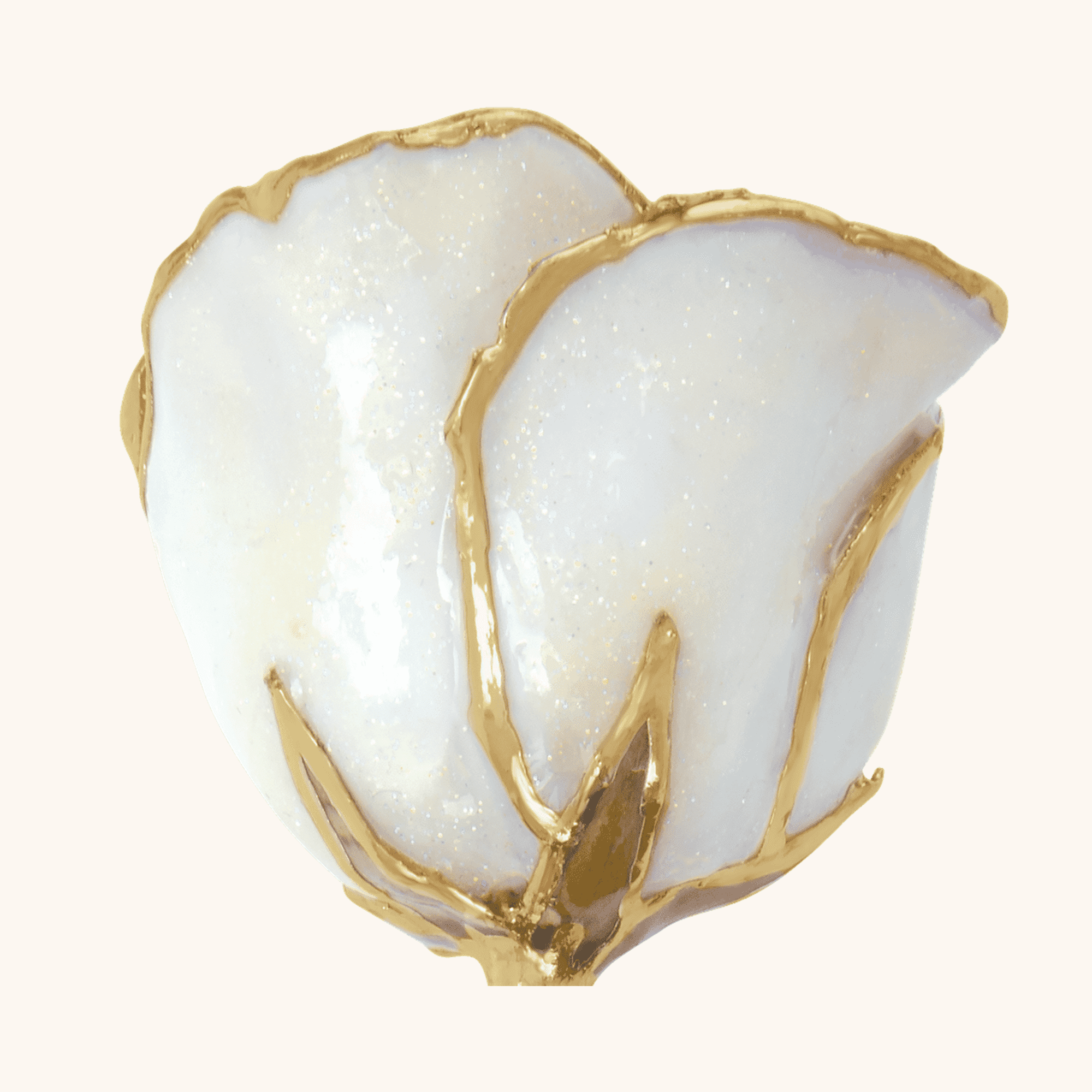 April Lacquered Sparkle White Diamond Colored Rose with Gold Trim_ 1