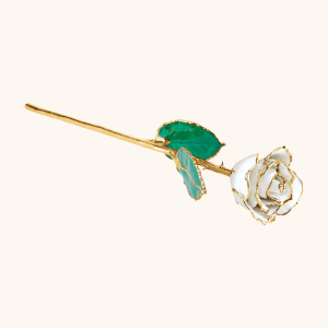 Birthstone Roses – Real Lacquered & 24K Gold-Plated Roses - April