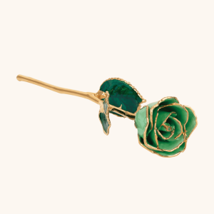 Birthstone Roses – Real Lacquered & 24K Gold-Plated Roses - August