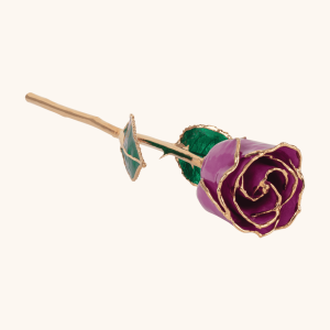 Birthstone Roses – Real Lacquered & 24K Gold-Plated Roses - February