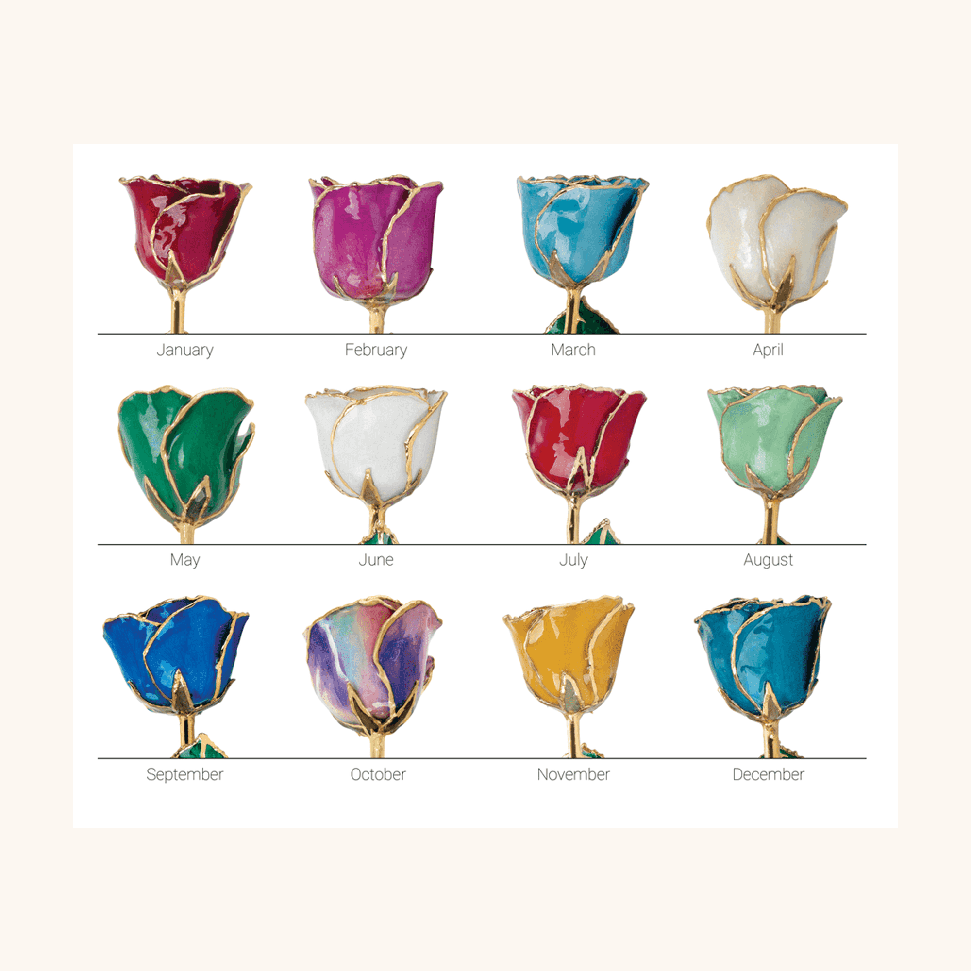 January Lacquered Garnet Colored Rose with Gold Trim 2