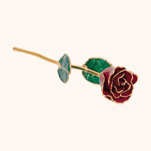 Birthstone Roses – Real Lacquered & 24K Gold-Plated Roses - January