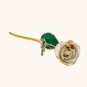 Birthstone Roses – Real Lacquered & 24K Gold-Plated Roses - June