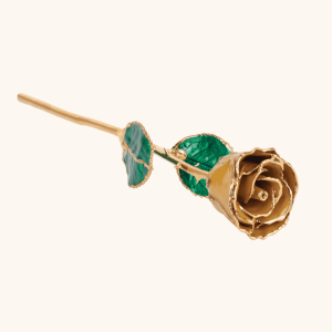 Birthstone Roses – Real Lacquered & 24K Gold-Plated Roses - November