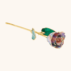 Birthstone Roses – Real Lacquered & 24K Gold-Plated Roses - October