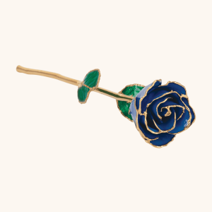 Birthstone Roses – Real Lacquered & 24K Gold-Plated Roses - September