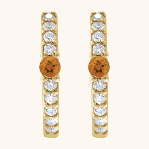 Exclusive Gemstone Earrings in 14K Yellow Gold