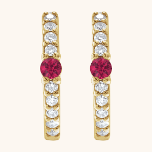Elegant Hoop Earrings