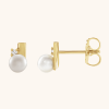14K Yellow Earrings