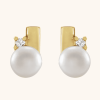 14K Yellow Earrings