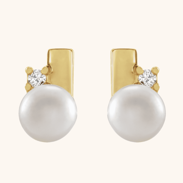 14K Yellow Earrings