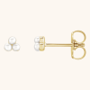 Pearl Earrings Stud